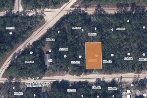 Land in Interlachen, Florida № 2161906