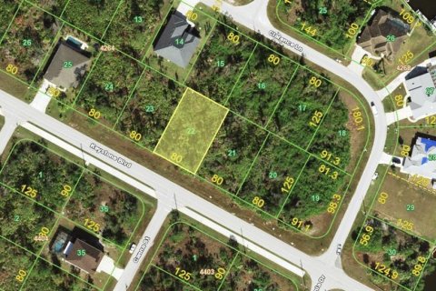 Land in Port Charlotte, Florida № 2228741 - photo 2