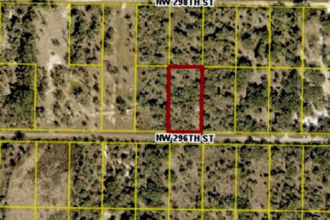 Commercial property in Okeechobee, Florida № 2370587