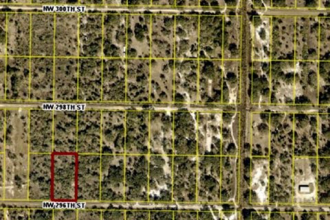 Commercial property in Okeechobee, Florida № 2370587 - photo 2