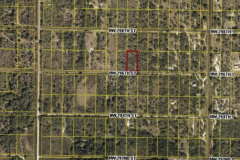 Commercial property in Okeechobee, Florida № 2370587 - photo 4