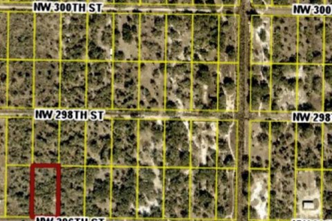 Commercial property in Okeechobee, Florida № 2370587 - photo 3