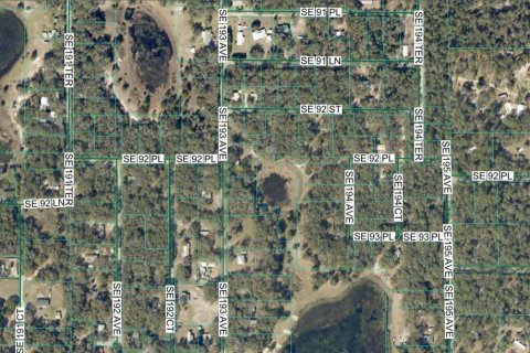 Land in Ocklawaha, Florida № 2228765 - photo 2