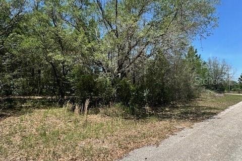 Land in Crystal River, Florida № 2212416 - photo 3