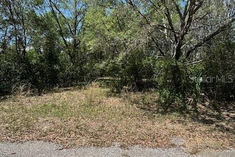Terreno en Crystal River, Florida № 2212416