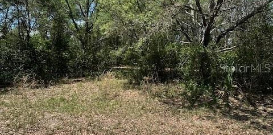 Land in Crystal River, Florida № 2212416