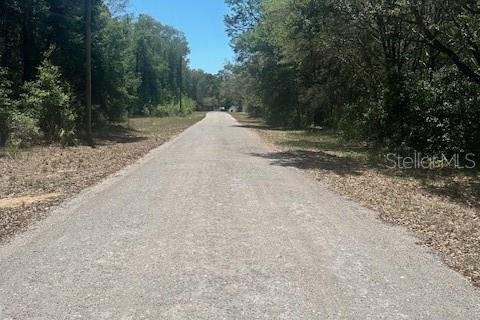 Land in Crystal River, Florida № 2212416 - photo 4