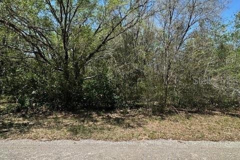 Land in Crystal River, Florida № 2212416 - photo 2