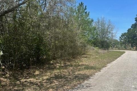 Land in Crystal River, Florida № 2212416 - photo 5