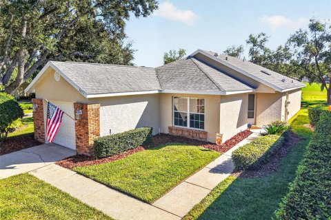 Villa ou maison à vendre à Mount Dora, Floride: 2 chambres, 140.93 m2 № 2418578 - photo 2