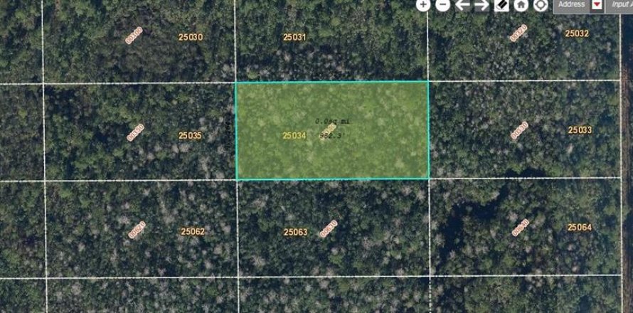 Land in Orlando, Florida № 2218737