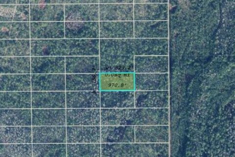 Land in Orlando, Florida № 2218737 - photo 2