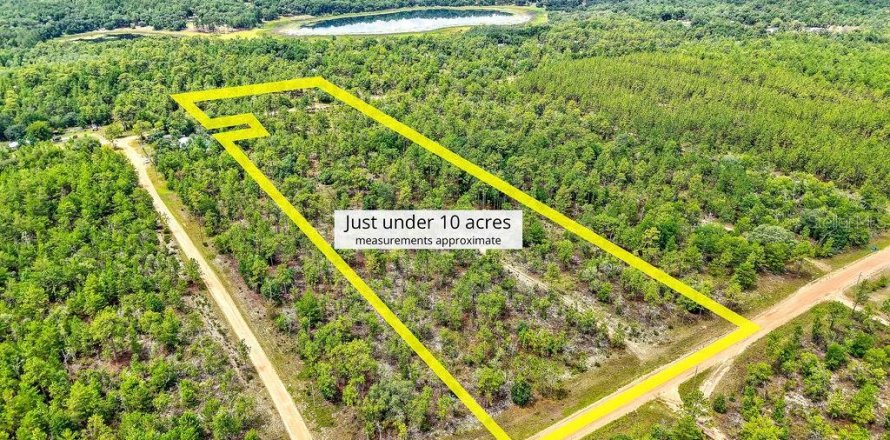 Land in Hawthorne, Florida № 1827245