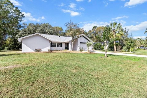 Casa en venta en Homosassa, Florida, 3 dormitorios, 168.9 m2 № 1449265 - foto 3