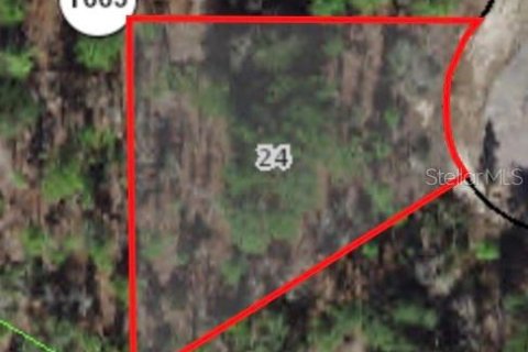 Land in Citrus Springs, Florida № 2224221