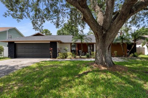 Casa en alquiler en Tampa, Florida, 3 dormitorios, 147.62 m2 № 1913089 - foto 1
