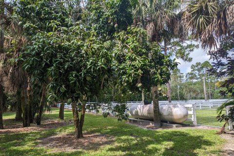 House in Loxahatchee Groves, Florida 4 bedrooms, 357.86 sq.m. № 1155923 - photo 1