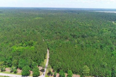 Casa en venta en Micanopy, Florida, 5 dormitorios, 741.82 m2 № 1810155 - foto 3