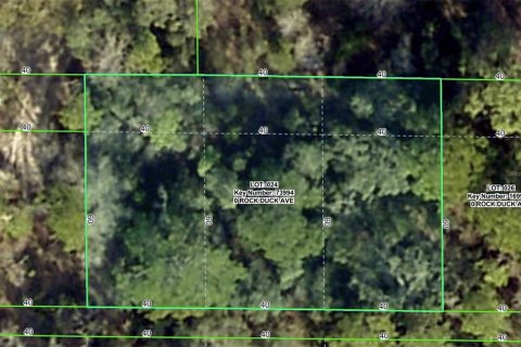 Land in Brooksville, Florida № 2159813