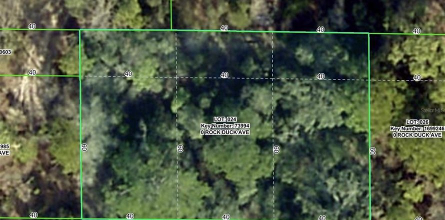 Land in Brooksville, Florida № 2159813