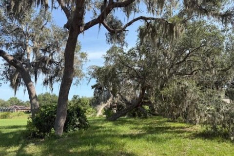 Land in Inverness, Florida № 1792339 - photo 2