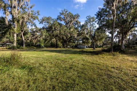 Immobilier commercial à vendre à Gainesville, Floride: 57.6 m2 № 2103820 - photo 10