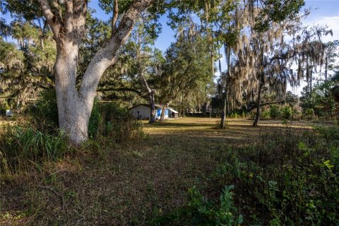 Immobilier commercial à vendre à Gainesville, Floride: 57.6 m2 № 2103820 - photo 8