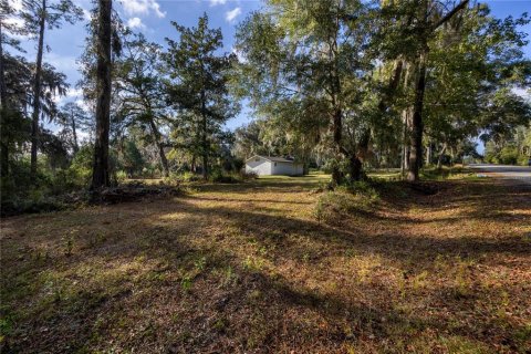Immobilier commercial à vendre à Gainesville, Floride: 57.6 m2 № 2103820 - photo 2