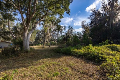 Immobilier commercial à vendre à Gainesville, Floride: 57.6 m2 № 2103820 - photo 11