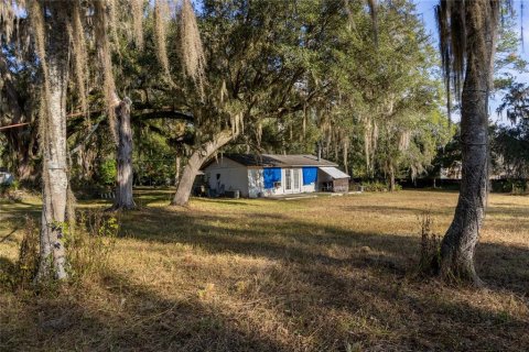 Immobilier commercial à vendre à Gainesville, Floride: 57.6 m2 № 2103820 - photo 4