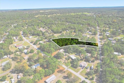Terrain à vendre à Homosassa, Floride № 2094508 - photo 3
