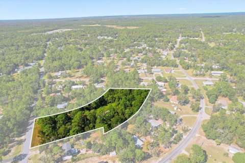 Terrain à Homosassa, Floride № 2094508