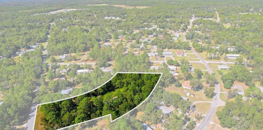 Terrain à Homosassa, Floride № 2094508
