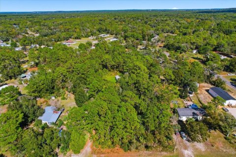 Terrain à vendre à Homosassa, Floride № 2094508 - photo 6