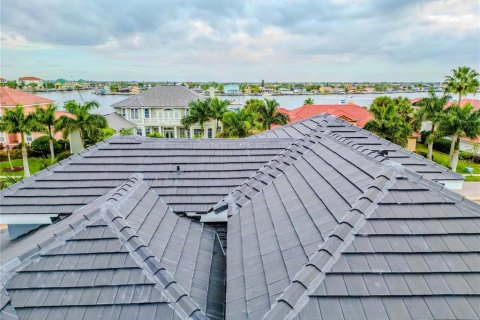 Villa ou maison à vendre à Apollo Beach, Floride: 4 chambres, 349.22 m2 № 867295 - photo 4