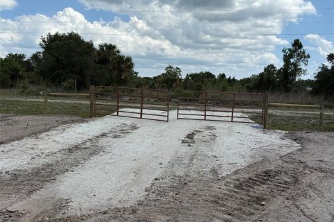 Terreno en Okeechobee, Florida № 2233309