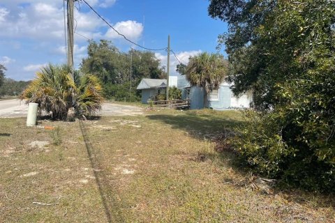 Commercial property in Leesburg, Florida 255.67 sq.m. № 1616542 - photo 5