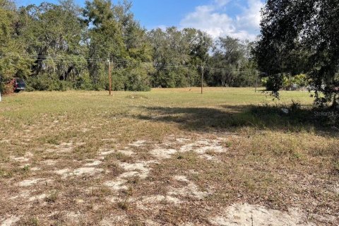 Propiedad comercial en venta en Leesburg, Florida, 255.67 m2 № 1616542 - foto 3
