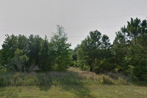 Land in Kissimmee, Florida № 1550043 - photo 2