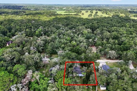 Villa ou maison à vendre à Mount Plymouth, Floride: 3 chambres, 101.82 m2 № 2279959 - photo 27