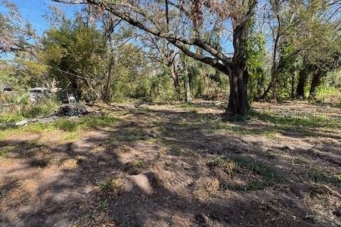 Terreno en venta en Tampa, Florida № 1796700 - foto 8