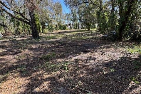 Terreno en venta en Tampa, Florida № 1796700 - foto 4