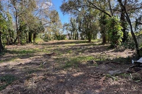 Terreno en venta en Tampa, Florida № 1796700 - foto 6