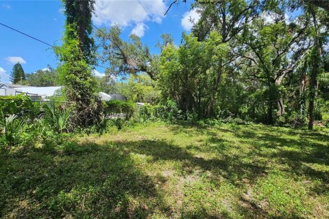 Terreno en venta en Tampa, Florida № 1796700 - foto 12
