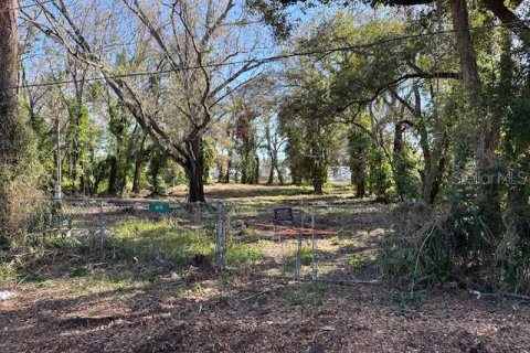 Terreno en venta en Tampa, Florida № 1796700 - foto 2
