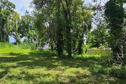 Terreno en venta en Tampa, Florida № 1796700 - foto 11