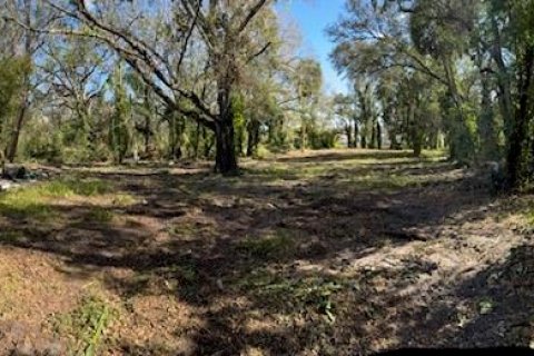 Terreno en venta en Tampa, Florida № 1796700 - foto 3