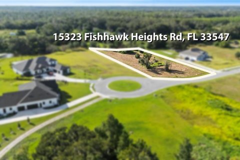 Land in Fish Hawk, Florida № 2228027