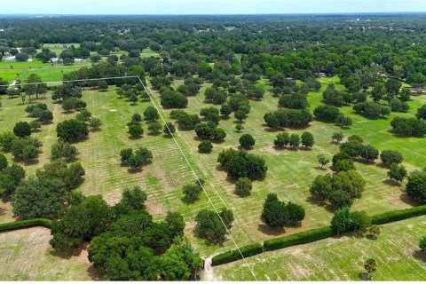 Terrain à vendre à Ocala, Floride № 1688555 - photo 7