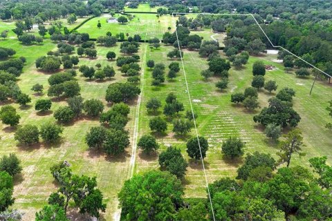 Terrain à vendre à Ocala, Floride № 1688555 - photo 2